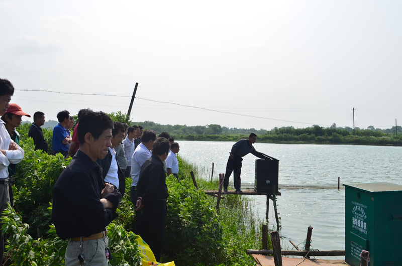 鄧家洲養殖模式交流學習